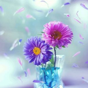 Meet your Posher, Maureen